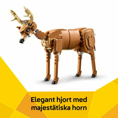 V5H270F736D269CF5E5D70F80872B1425BBR7382419P7