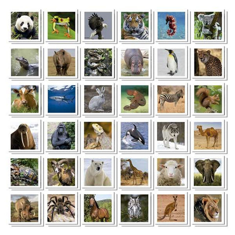 V1H3AF8E007CD2DBAC1A181CFC0FD7A84F4RP2